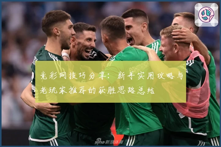 竞彩网技巧分享：新手实用攻略与老玩家推荐的获胜思路总结
