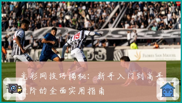 竞彩网技巧揭秘：新手入门到高手进阶的全面实用指南